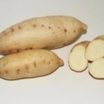batata doce branca