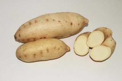batata doce branca
