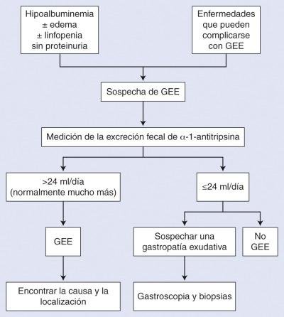 Estratégias Eficazes para Localizar Suas Pastas Perdidas